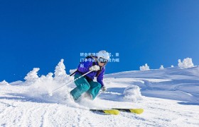 转会市场风云再起,豪门争夺战与新兴势力崛起