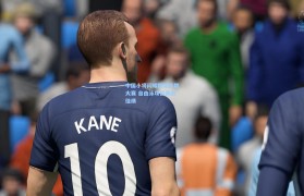 中国小将闪耀国际泳联大赛 自由泳项目再创佳绩