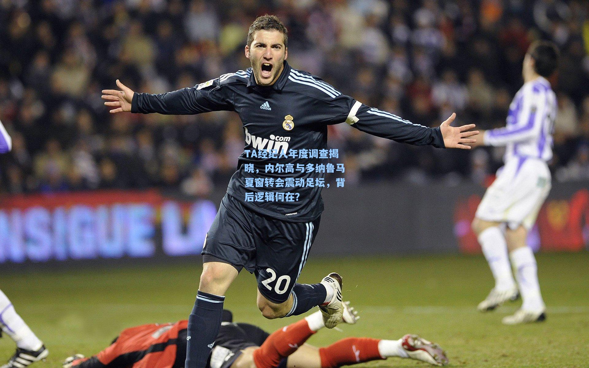 TA经纪人年度调查揭晓，内尔高与多纳鲁马夏窗转会震动足坛，背后逻辑何在？