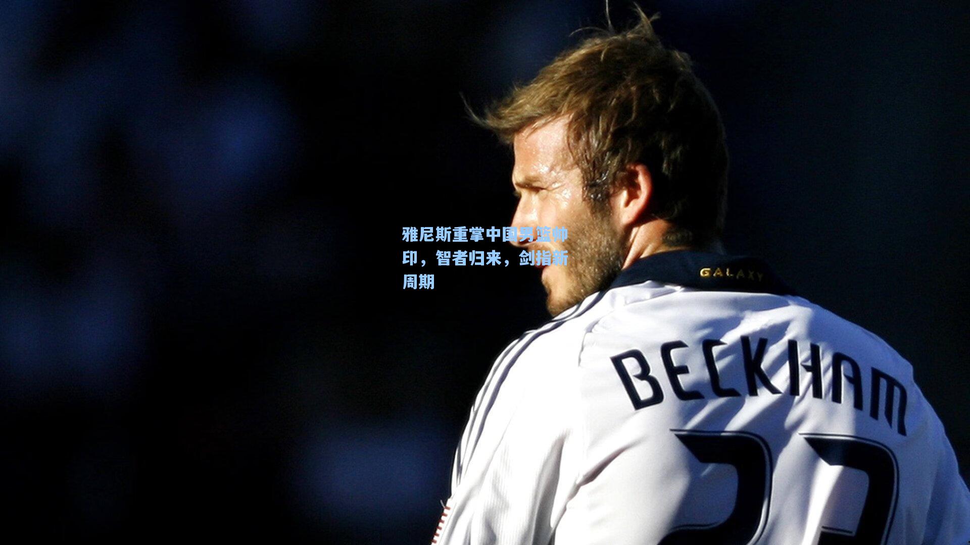 雅尼斯重掌中国男篮帅印，智者归来，剑指新周期